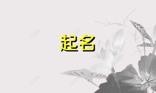 跑步人起名软件有哪些好听