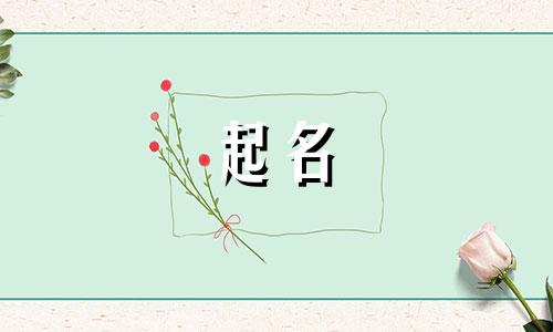 作家用起名软件有哪些好