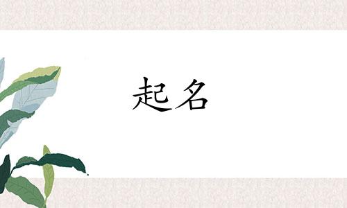 给树起名的诗词有哪些