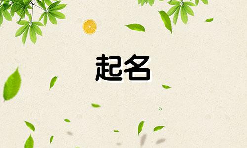 属兔适合用哪些字起名