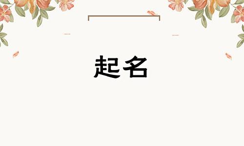 正规起名网站有哪些好