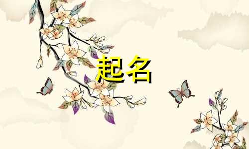 英语品牌起名网站有哪些