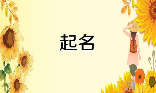 以鼠起名的品牌有哪些