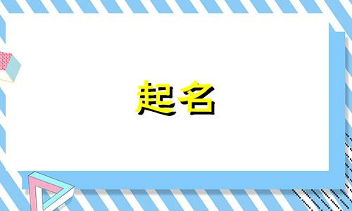 可以起名的玩具有哪些名字