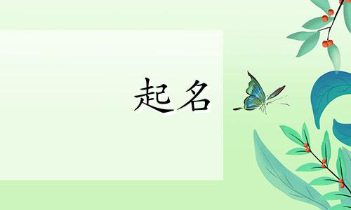 可以起名的作品有哪些类型