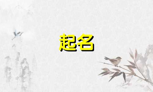 不会起名的涩琪有哪些