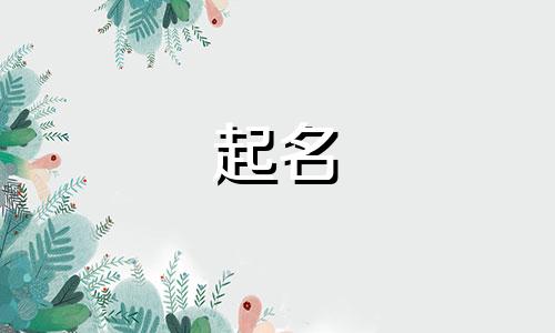 课程教案起名字有哪些