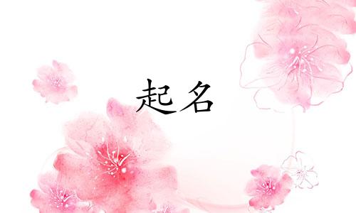 店铺起名高端大气有哪些
