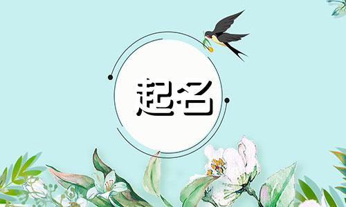 狗年宝宝起名宜用哪些字