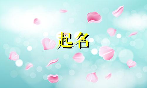 起名师的技能有哪些内容