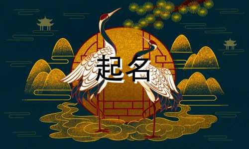 特别难起名的姓氏有哪些