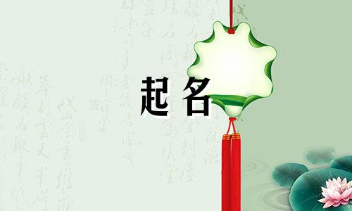 日漫起名风格有哪些类型