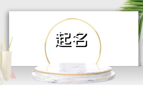 公司起名低调的名字有哪些