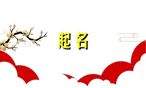 关于渔网袜的起名有哪些
