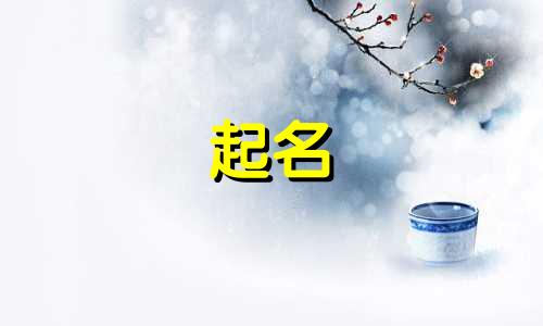 小众的商标起名说法有哪些