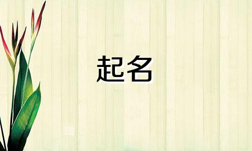 起名寓意好的汉字有哪些