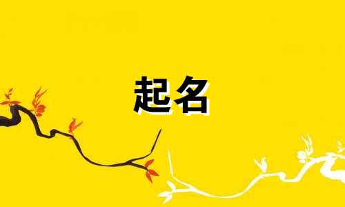 台姓男孩起名有哪些好听