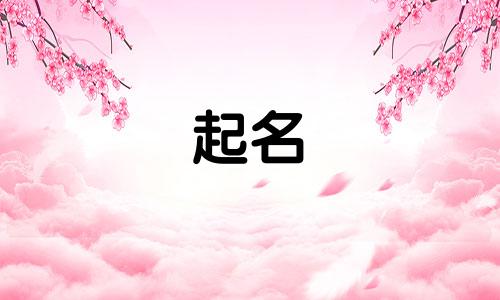 银川有名的起名大师有哪些