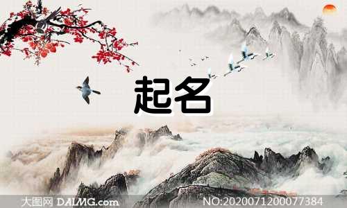 战舰的起名规则有哪些英文