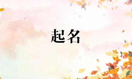 给团队起名软件有哪些名字