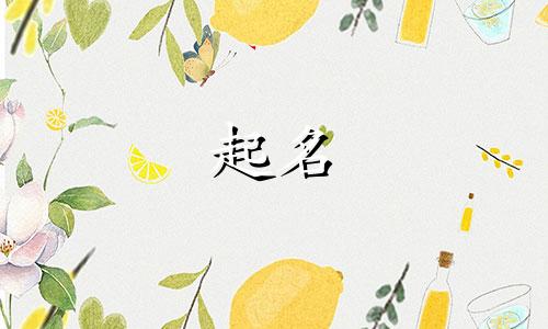 程字起名和哪些字搭配