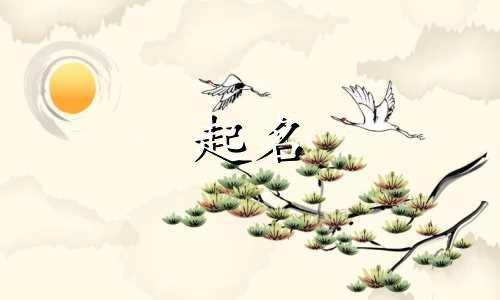 起名老师李清照的名字有哪些