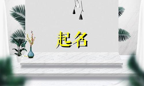 以醪糟起名的奶昔有哪些