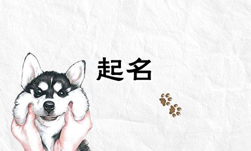 起名最少见的字母有哪些