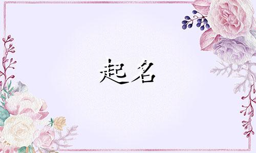 给熊猫起名的夫人有哪些