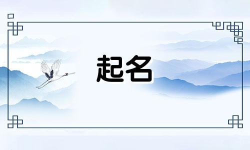 懒的起名唱的歌有哪些歌