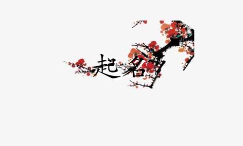 古人起名喜欢用哪些字取名