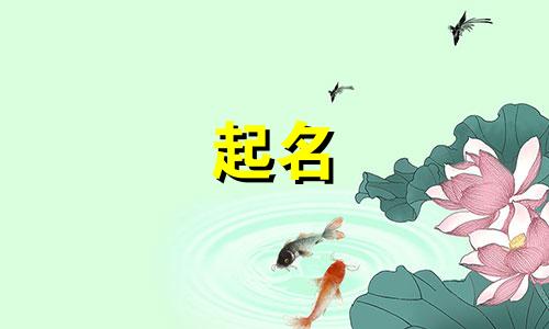 有哪些码字软件上有随机起名