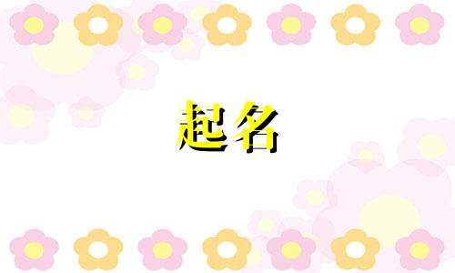 解锁版起名软件有哪些好用