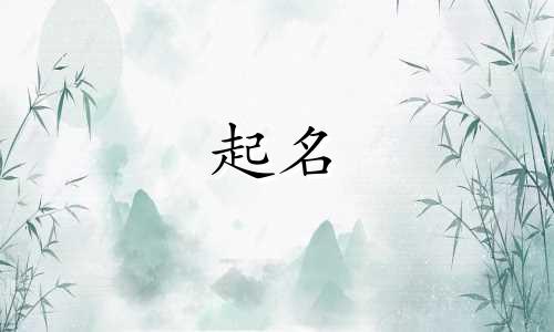 有哪些好用的随机起名软件