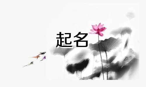 商标起名的原则有哪些内容