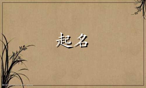 各个作者的起名方法有哪些