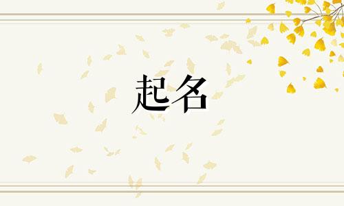 金融领域起名字有哪些