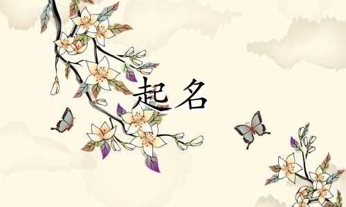 茶叶公司起名技巧书籍有哪些