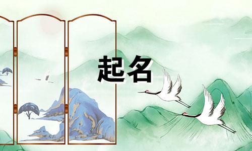 粤语电影起名女孩名字有哪些