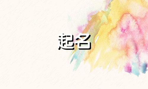 免费起名官方网有哪些