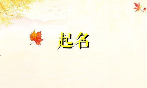 比较杂的花起名有哪些