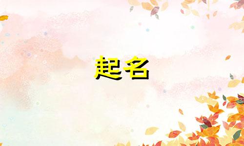 可以起名的咒语有哪些字