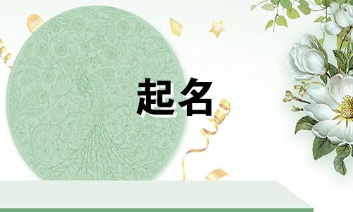 免费的起名神器有哪些好用