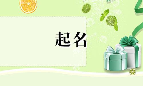 帮忙起名最好的名字有哪些
