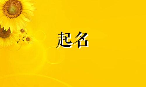 起名明亮的字有哪些名字