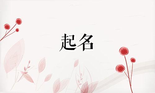 叠词品牌起名法有哪些呢