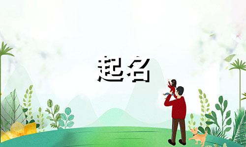 起名惊艳的字有哪些女孩