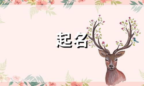 蛋糕店起名元素有哪些