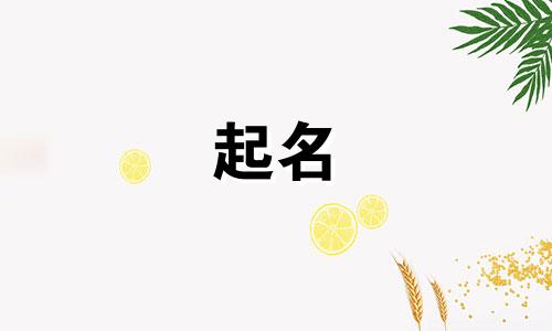 马宝宝起名用哪些字好听