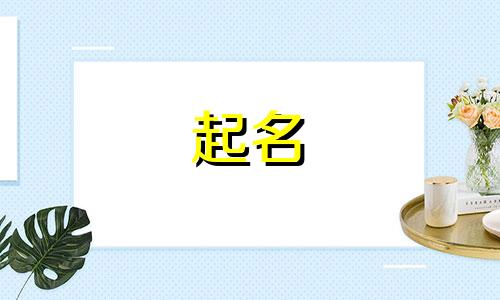 组织起名字软件有哪些